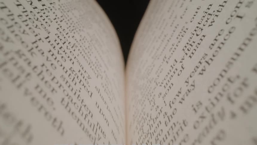The book has many pages