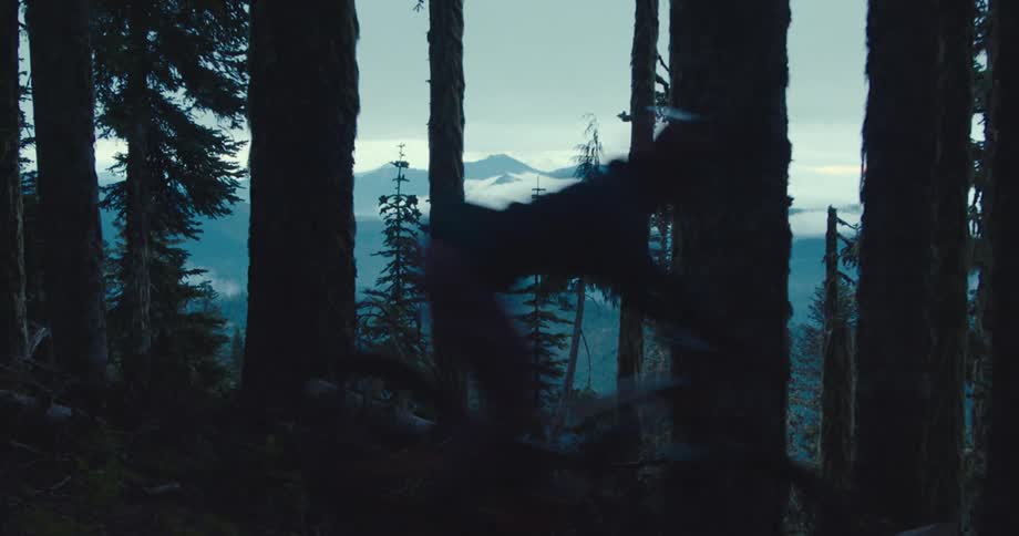 Person runs through trees in a forest at dusk