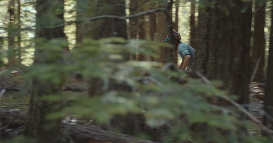 Two cyclists ride along a trail through the trees in a forest