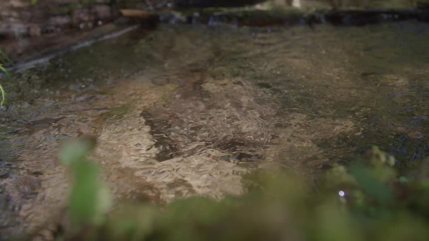 A clear babbling brook