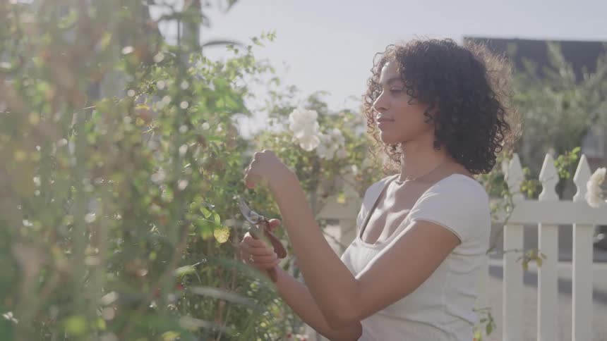 A woman trims plants in a sunlit garden on a bright day