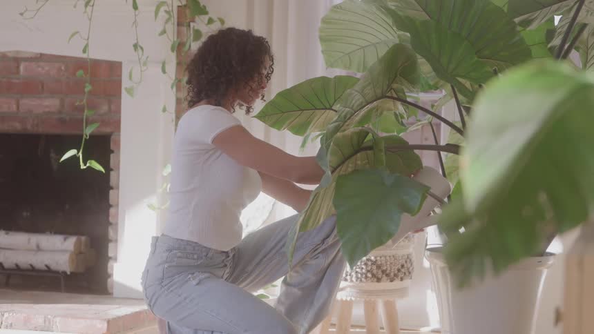 Woman tends to a large plant inside a bright room