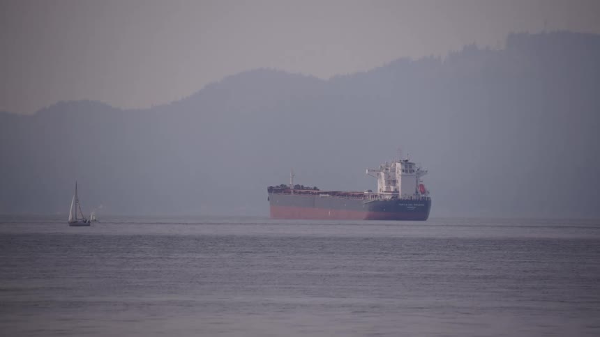 A large cargo ship moves across the water with a sailboat in the foreground and a shoreline with mountains in the background