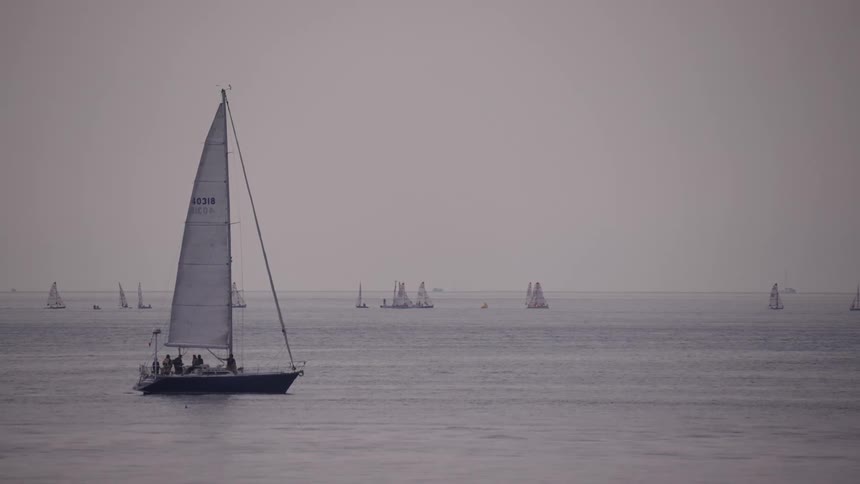 A sailboat glides calmly across the water with many more sailboats scattered in the distant background