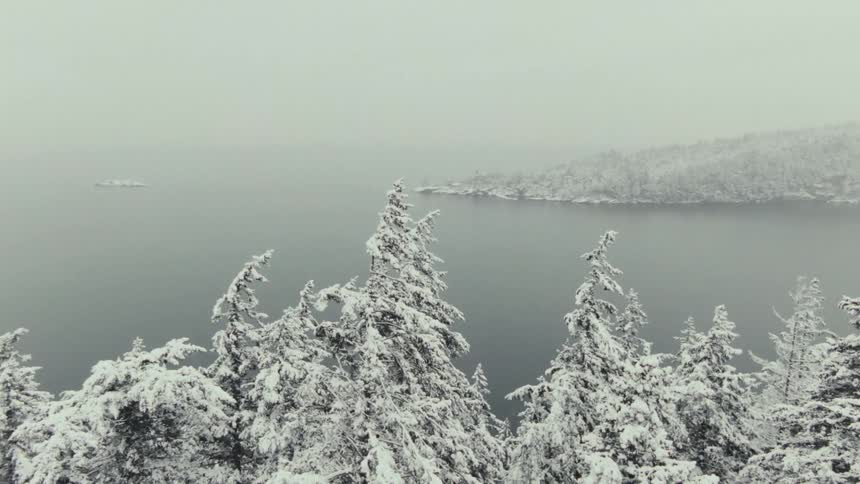 A body of water is surrounded by trees and land with snow covering the surfaces