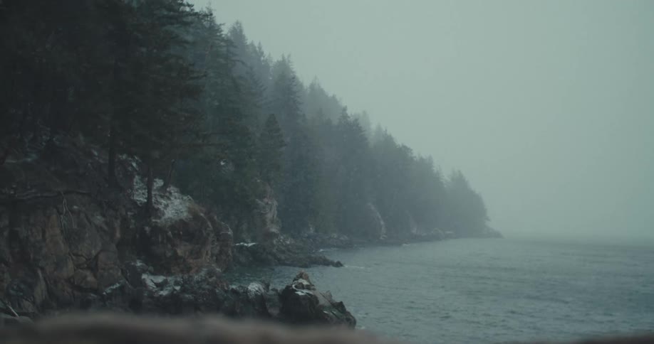 Rocky shores covered with pine trees descend into a gray and cold sea
