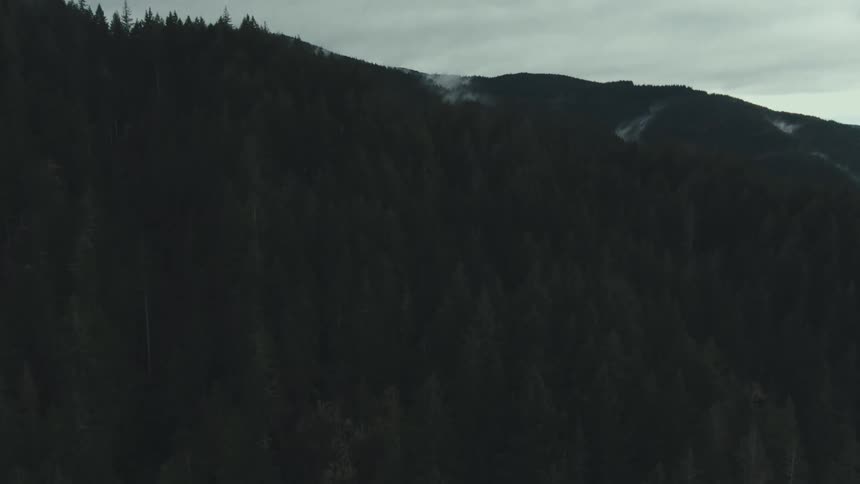Aerial panorama of a coniferous forest in the mountains