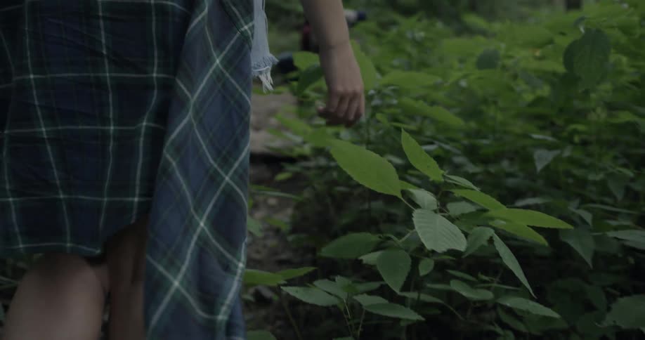 A person is hiking racing their hands on plants on the way