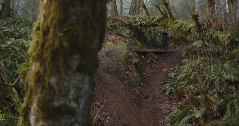 A person on a bike rides down a trail in a forest