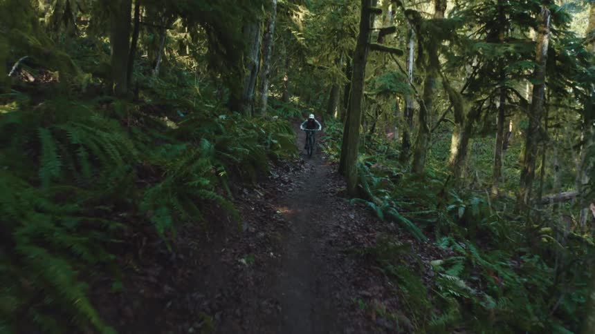 A cyclist rides along a narrow dirt trail through a dense green forest