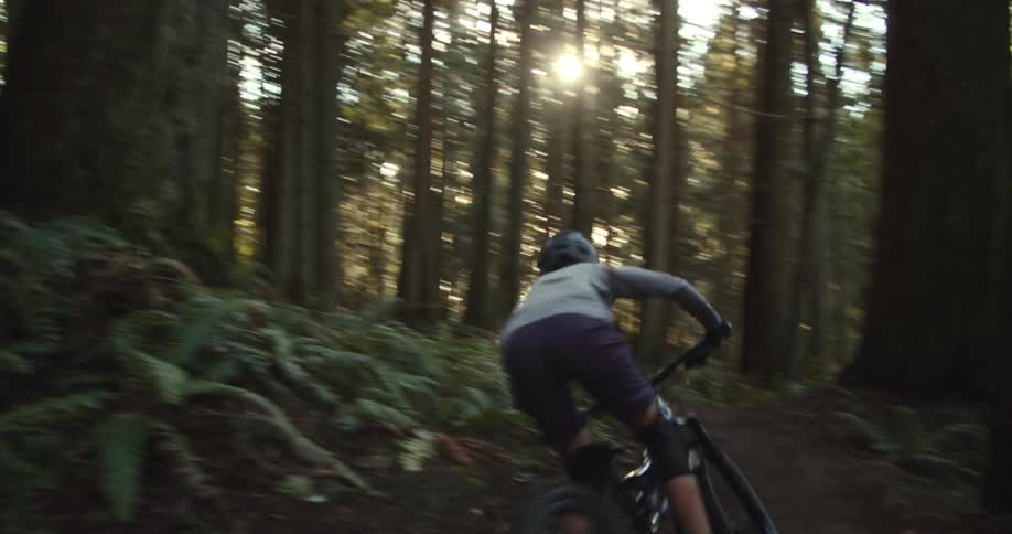 A person on a bike rides down a trail in a forest with sunlight