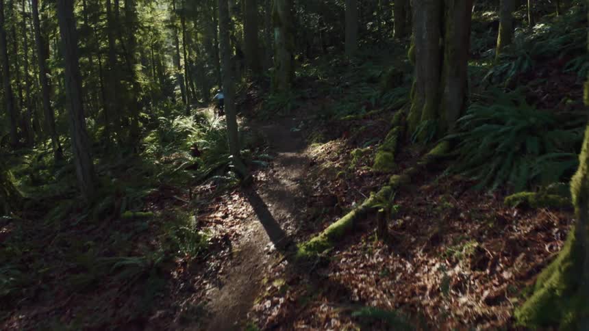 A cyclist rides a narrow dirt trail through a dense forest landscape