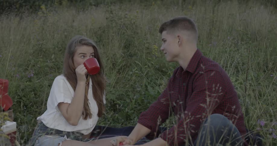 A man and woman have a picnic in a field