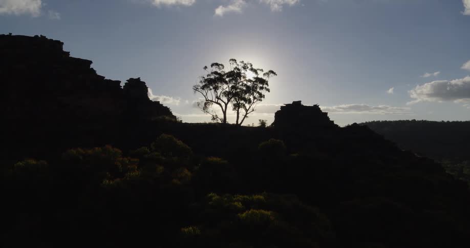 A dramatic shot of a single tree silhouetted against a bright hazy sun the tree is surrounded by rocky cliffs and lowlying shrubs all cast in deep shadow by the backlight