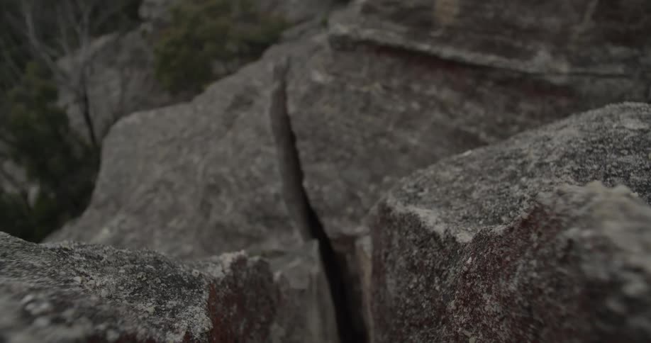 A closeup of a crack in a rocky canyon with nearby trees