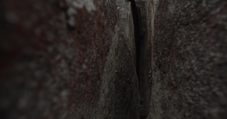 A closeup of a rock wall with a crack and moss