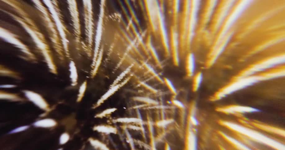 White fireworks bursts radiate amid glowing golden reflections