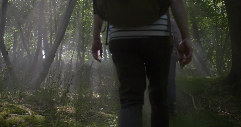 Two people walking on a trail in the forest