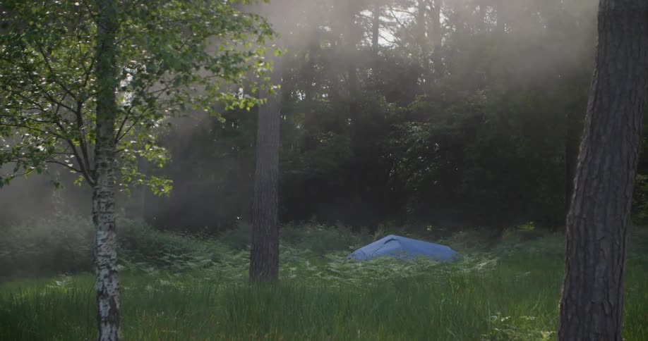 A lone blue tent is set up in a lush green forest clearing the morning light filters through the trees casting a hazy glow over the scene