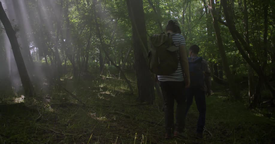 Two people walking through the forest during the day