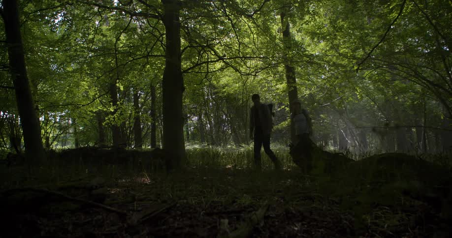 Two people with backpacks walk through a dense green forest sunlight filters through the leaves creating bright shafts of light in the hazy air