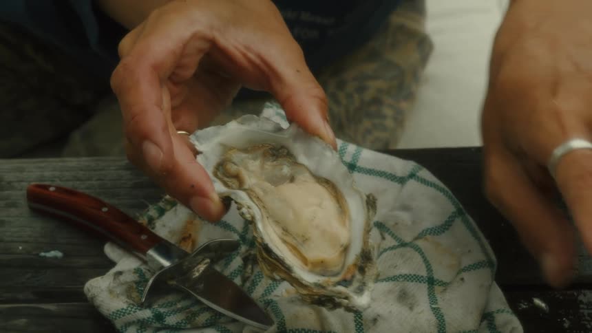 Hands holding an oyster