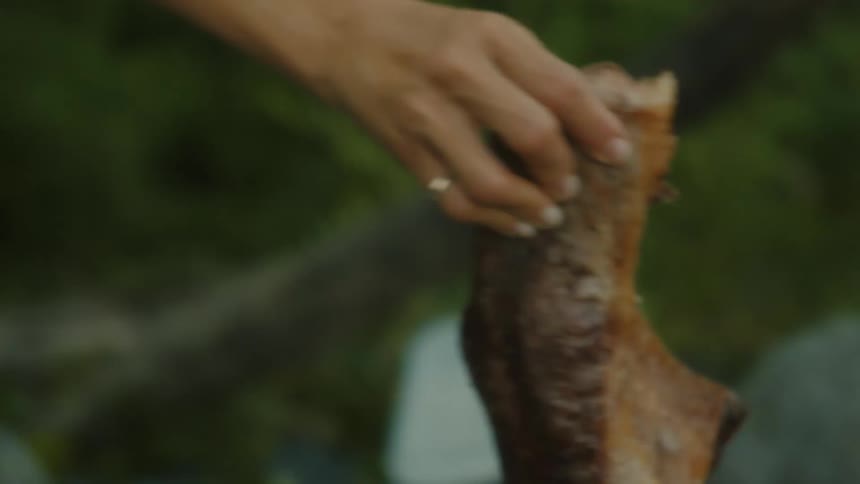 A person holds up a large piece of roasted meat with their hand and places the meat on a flaming grill with more meats