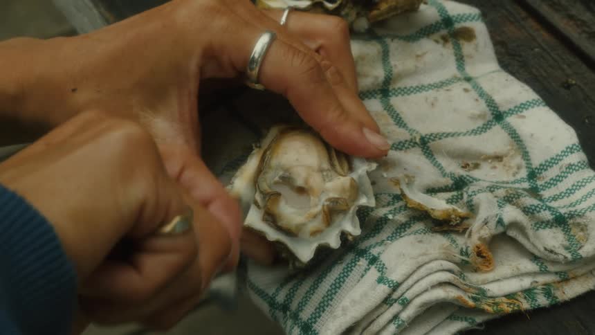 A person uses a knife to carefully shuck an oyster holding it steady on a folded checkered cloth
