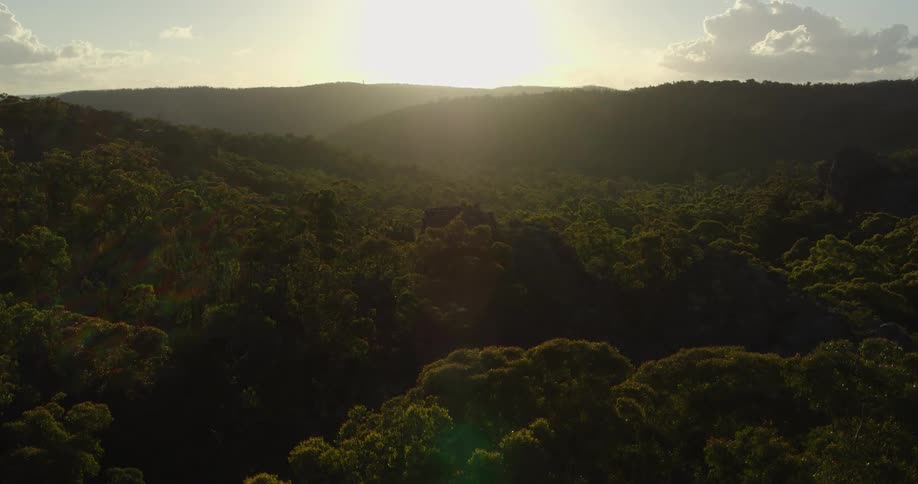 The sun sets over a vast forested landscape casting golden light across the rolling hills
