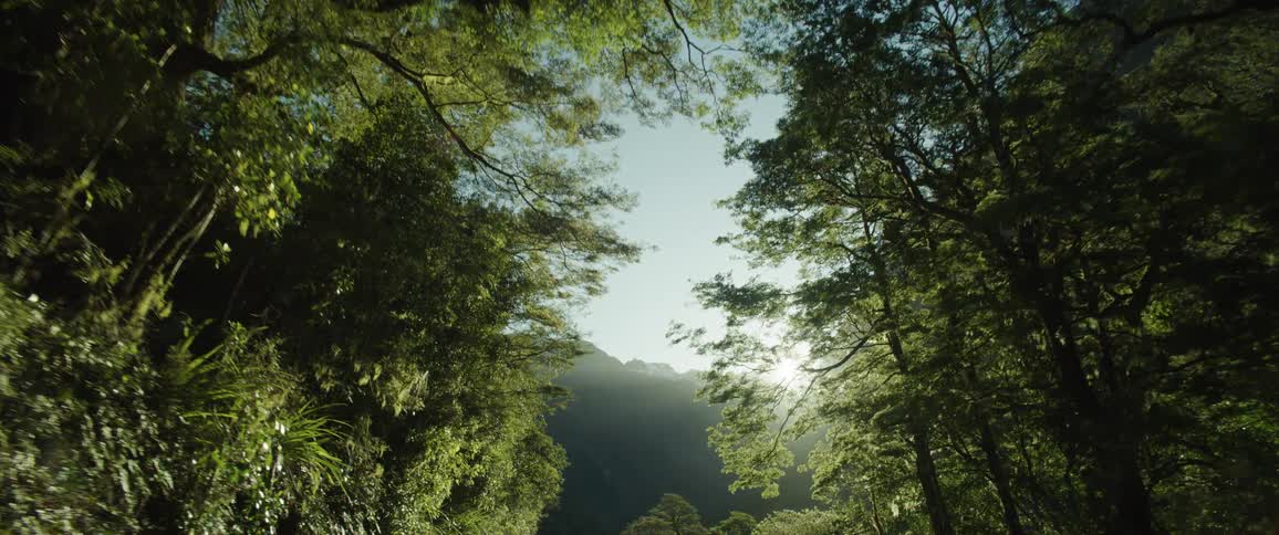 The sun flares over the mountains and trees