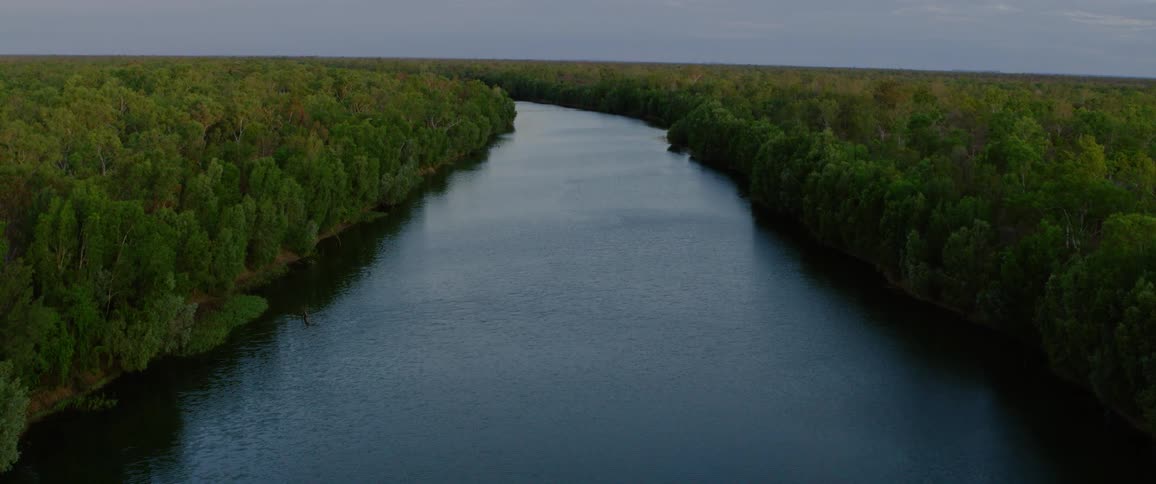An overhead view shows a river flowing through a forest