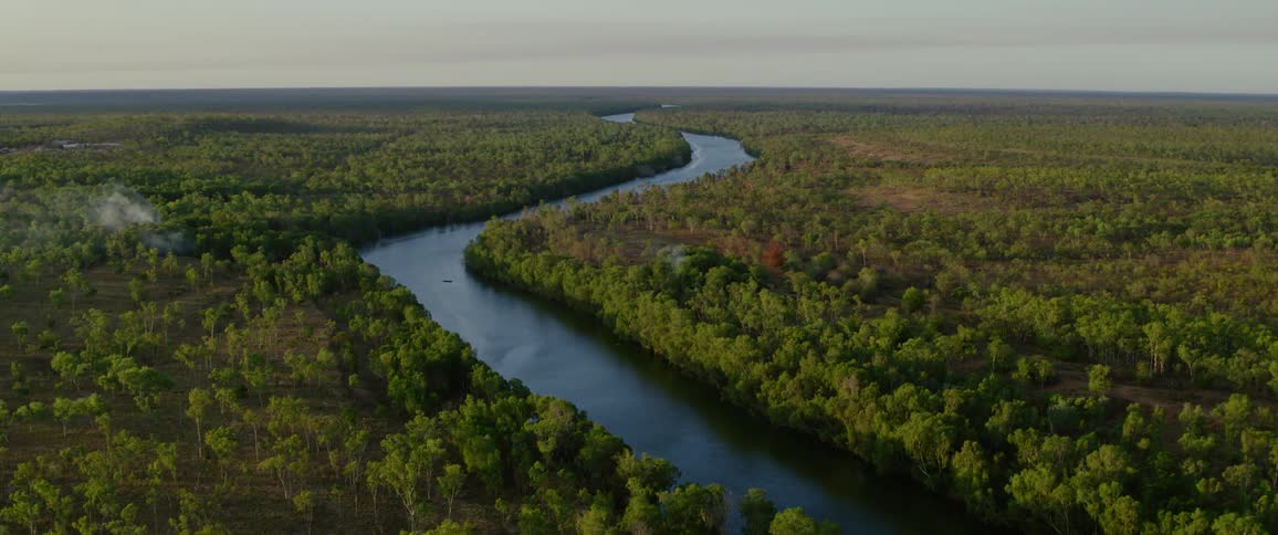 Winding river runs through a vast green forest under a clear sky