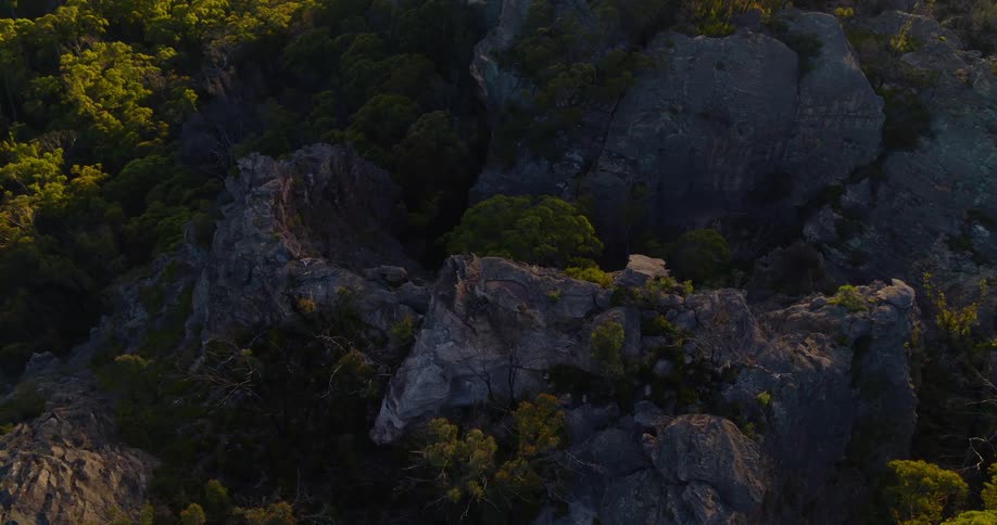 A rocky terrain in the woods is surrounded by trees and lush green vegetation at midday