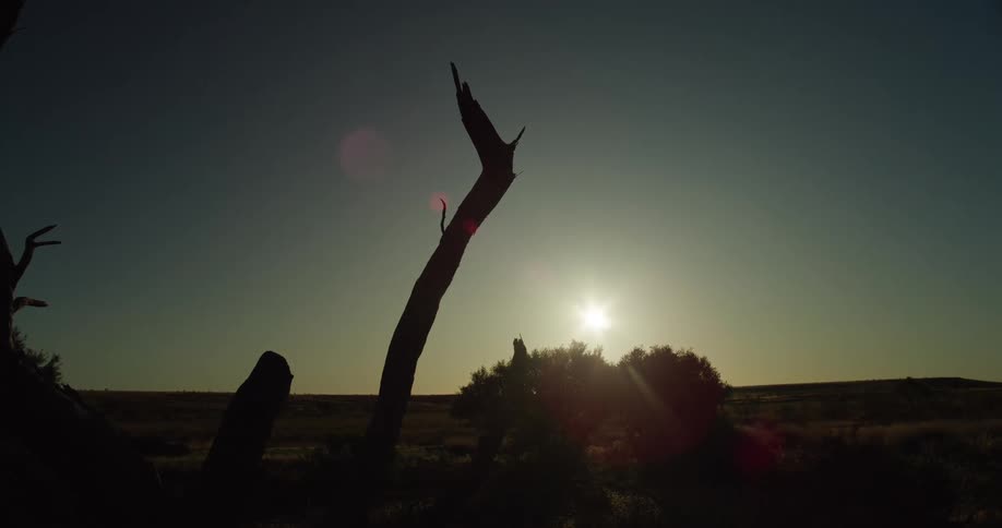 The sun is setting on the flat field