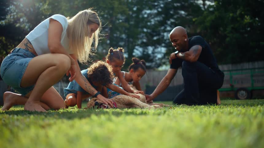 A family crouches together on the grass smiling and laughing as they pet a happy dog lying on its back