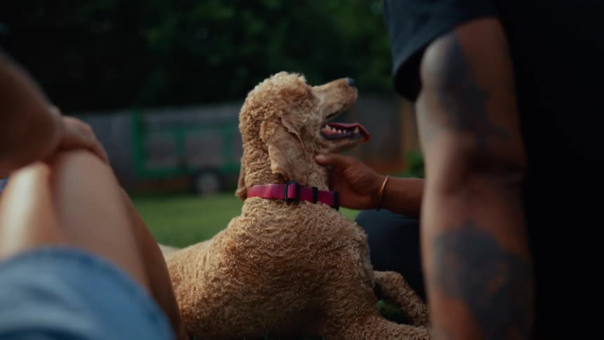 The man is petting his dog