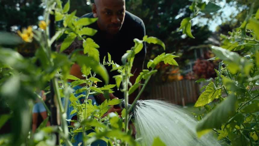 A man and a child are watering plants in a garden with water spraying from a hose