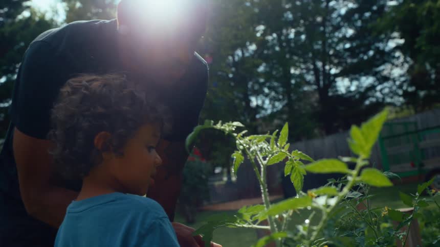 Father and son water the vegetable garden growing in their backyard on a sunny day