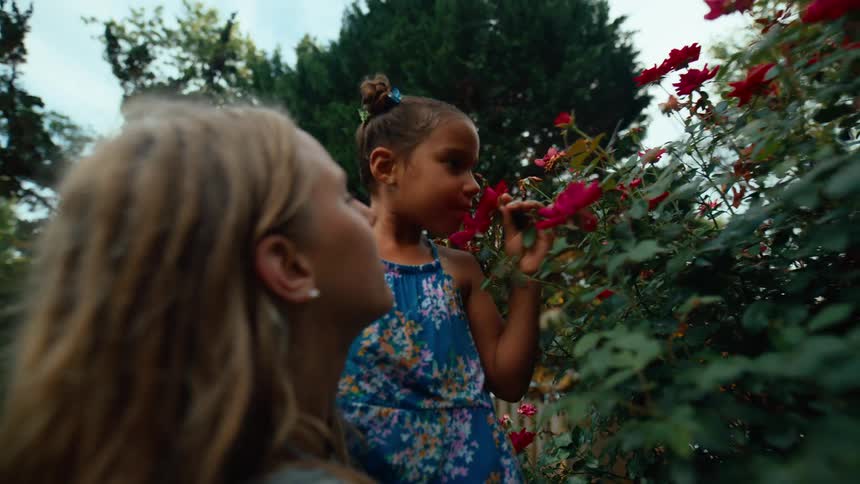 A young girl in a floral dress leans in to smell bright red roses with another person nearby