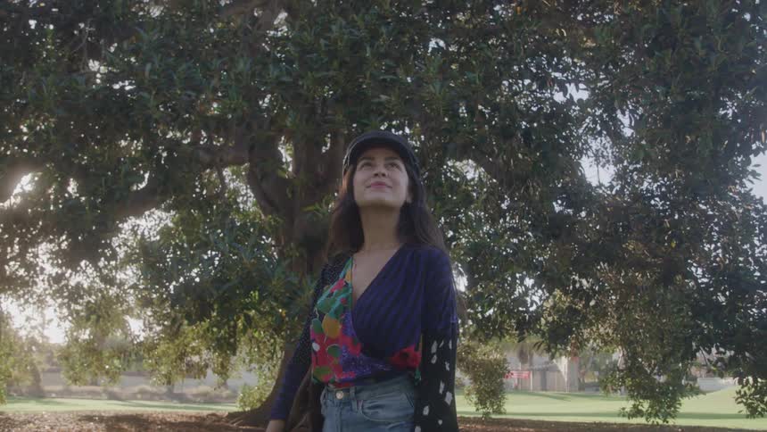 Woman wearing a hat looks up at the tree canopy lit by the sun in the park