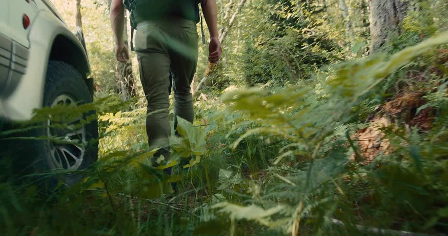 A person walks through a dense forest next to a parked suv during daylight
