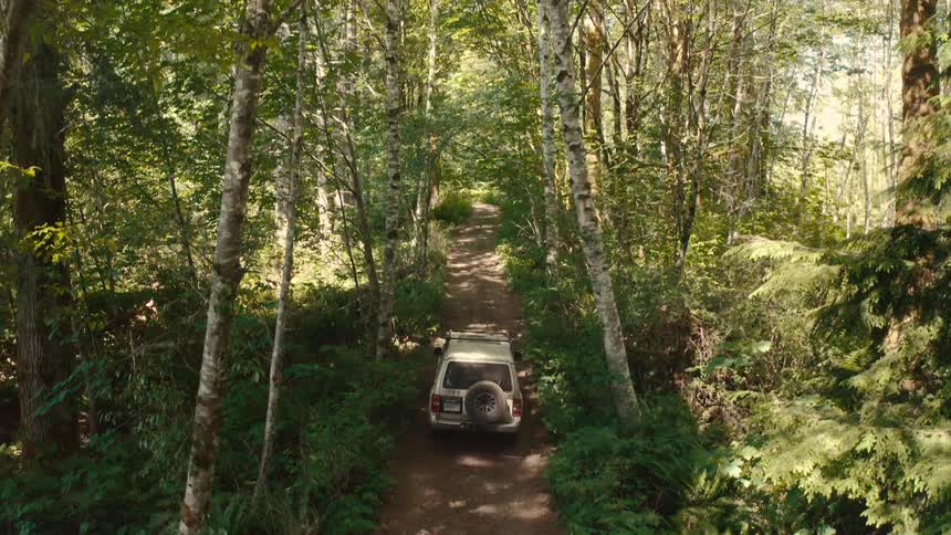 A lightcolored suv drives along a winding dirt road through a thick green forest in the daylight