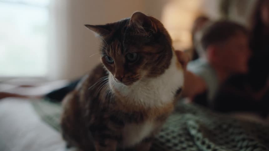 A family relaxes together on a bed while a cat sits in the foreground