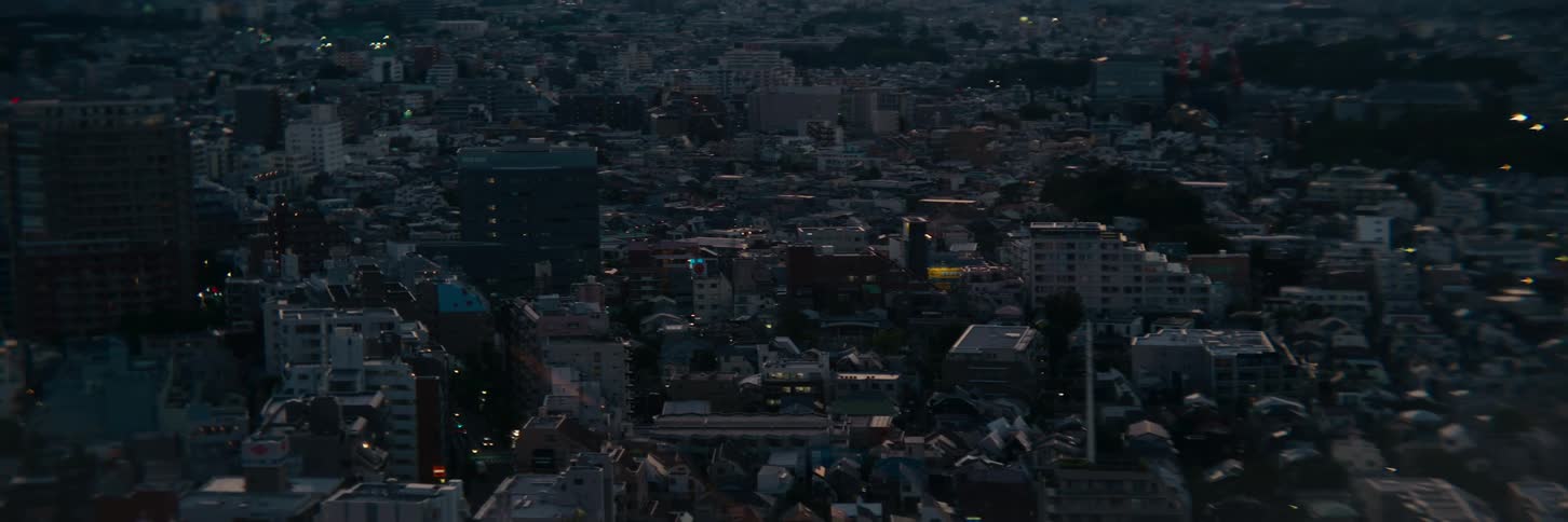 Panorama of an urban city at dawn