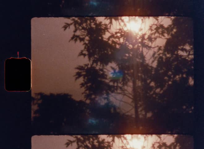 Cinematic Super 8mm shot of sunbeams shining through gently swaying tree branches, with warm light, soft lens flares, and nostalgic film grain capturing a serene, atmospheric nature moment in vintage analog style