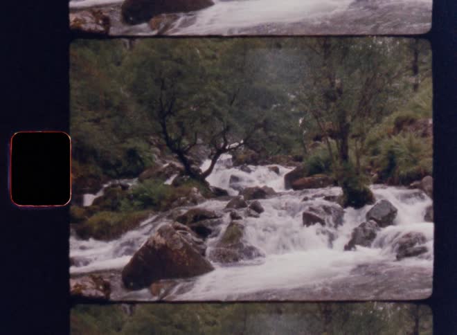 A river rushes through the woods