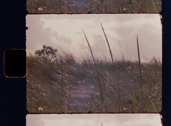 A close view shows tall green grass blowing in a field under a cloudy sky with film grain scratches and a vintage super 8 film frame look