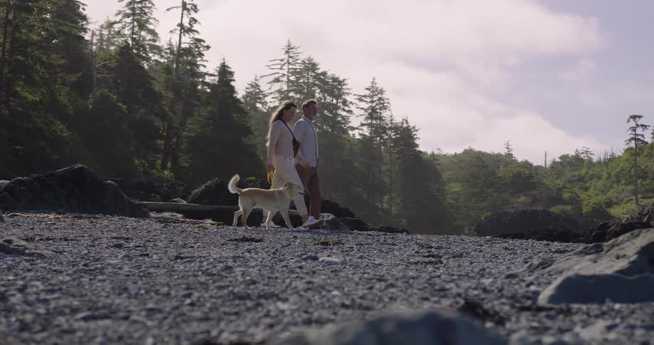 A couple walks their dog along a rocky shoreline surrounded by tall coastal evergreens under a soft sky