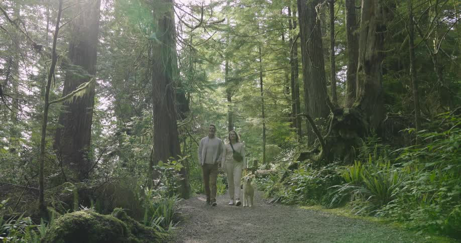 Couple walking their dog along a wooded path at midday