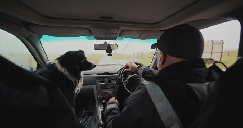A person in a black cap and jacket drives a car accompanied by a black and white dog in the passenger seat with a hazy rural landscape visible through the windshield